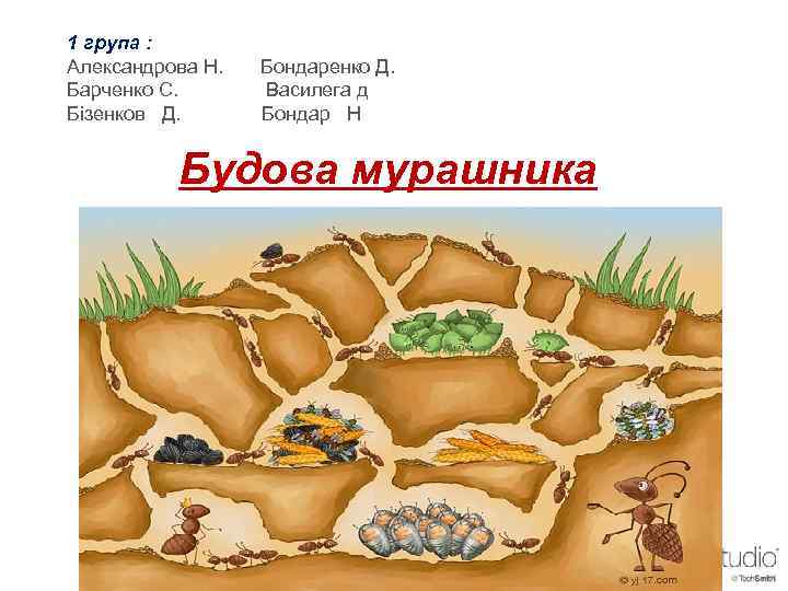 1 група : Александрова Н. Барченко С. Бізенков Д. Бондаренко Д. Василега д Бондар