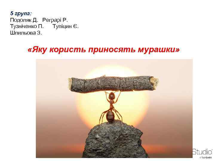 5 група: Подоляк Д. Реграрі Р. Тузніченко П. Тупіцин Є. Шпильова З. «Яку користь