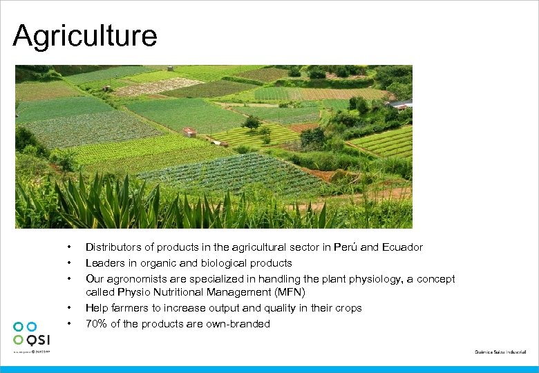 Agriculture • • • Distributors of products in the agricultural sector in Perú and