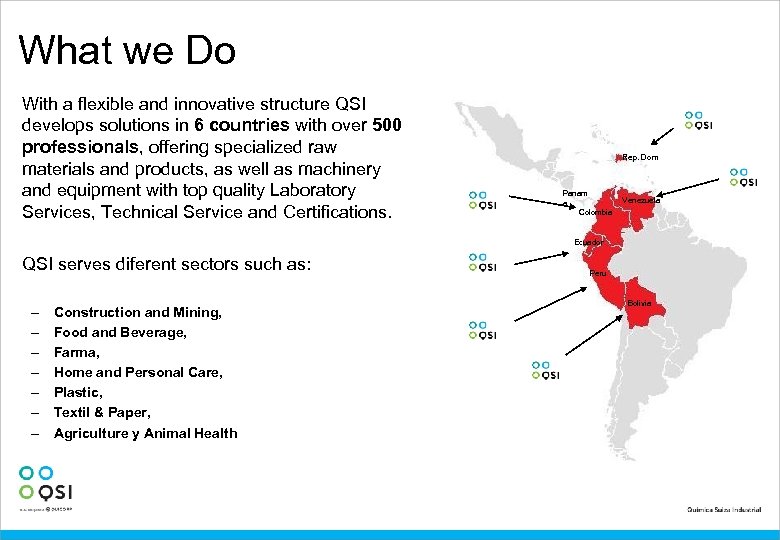 What we Do With a flexible and innovative structure QSI develops solutions in 6