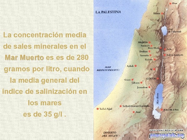 La concentración media de sales minerales en el Mar Muerto es es de 280