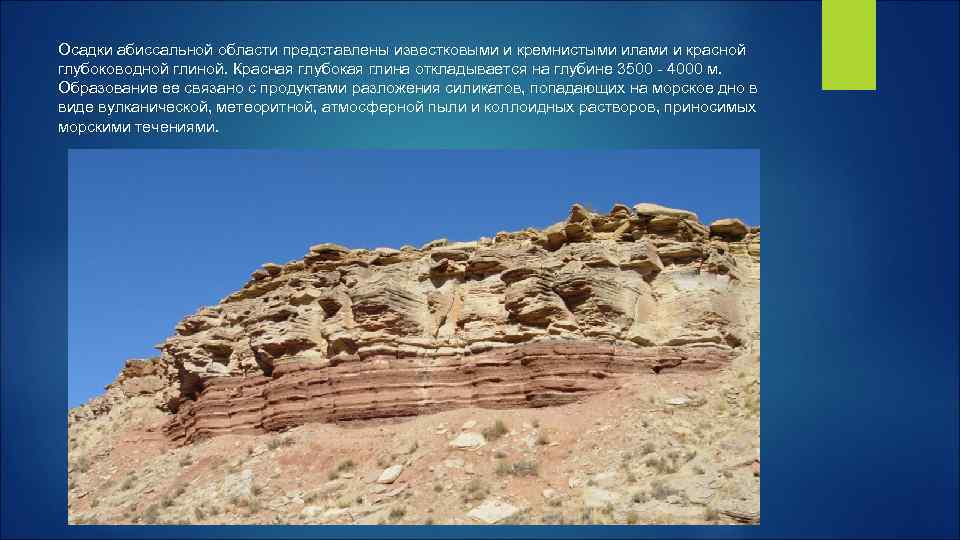 Осадки абиссальной области представлены известковыми и кремнистыми илами и красной глубоководной глиной. Красная глубокая