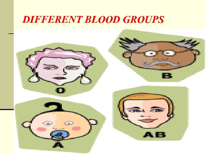 DIFFERENT BLOOD GROUPS 