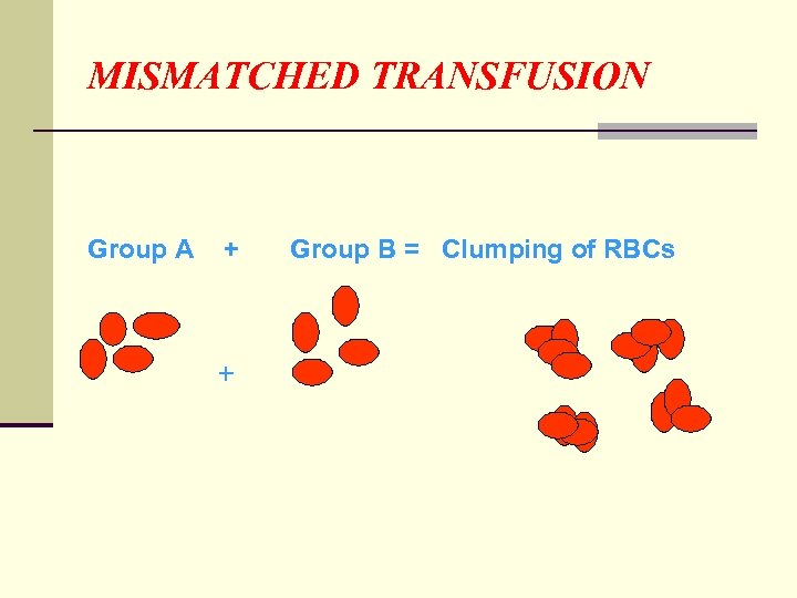 MISMATCHED TRANSFUSION Group A + + Group B = Clumping of RBCs 