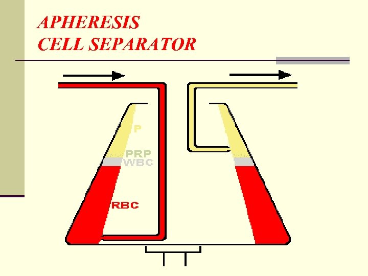 APHERESIS CELL SEPARATOR 