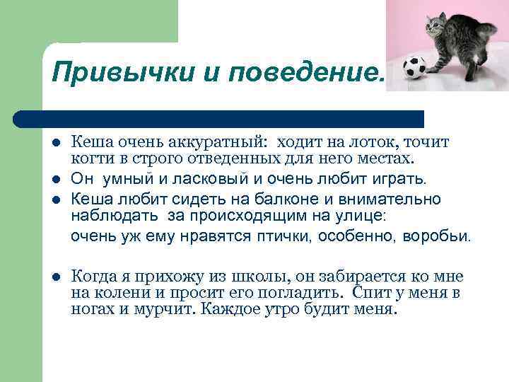 Привычки и поведение. Кеша очень аккуратный: ходит на лоток, точит когти в строго отведенных