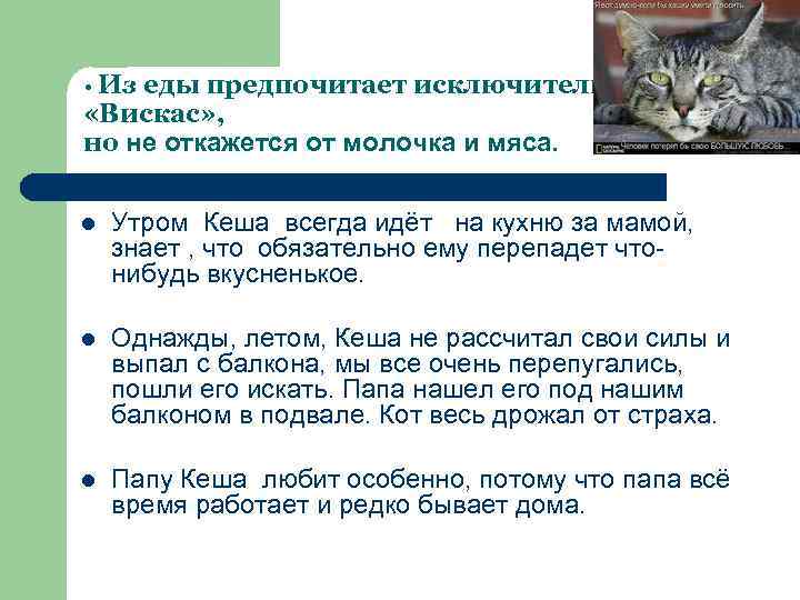  • Из еды предпочитает исключительно «Вискас» , но не откажется от молочка и