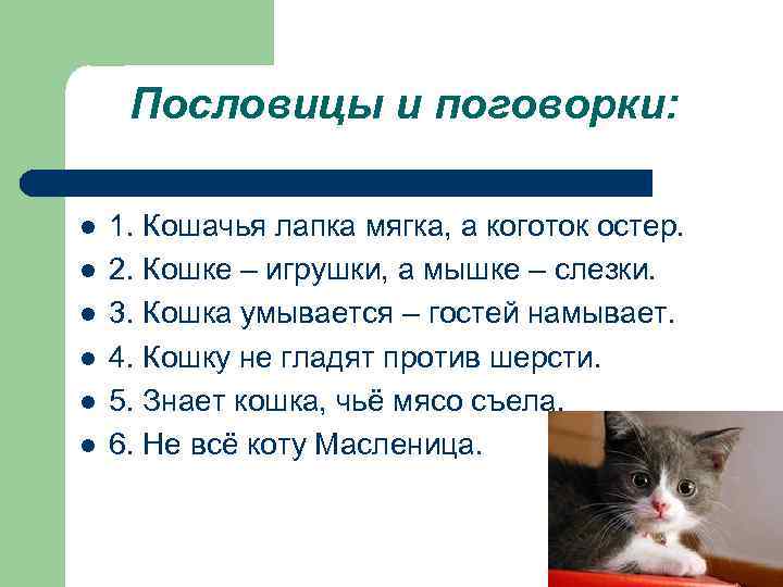 Пословицы о кошках.