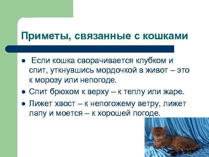 Приметы, связанные с кошками l l l Если кошка сворачивается клубком и спит, уткнувшись