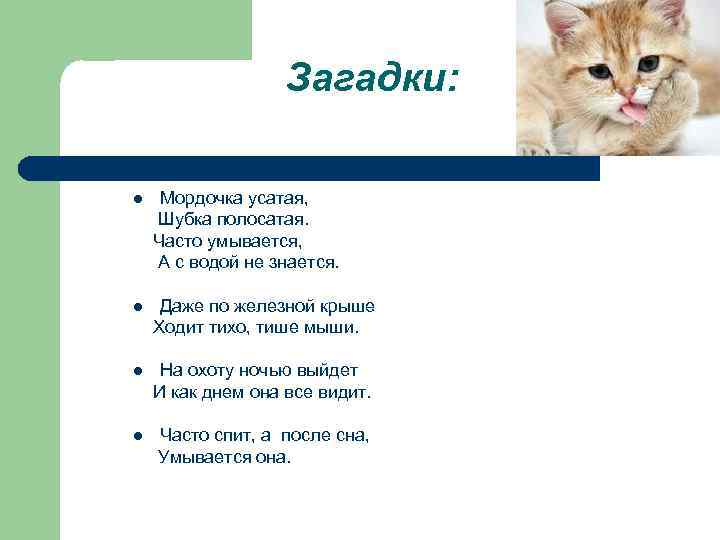 Загадки: Мордочка усатая, Шубка полосатая. Часто умывается, А с водой не знается. l Даже
