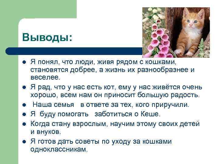 Выводы: l l l Я понял, что люди, живя рядом с кошками, становятся добрее,