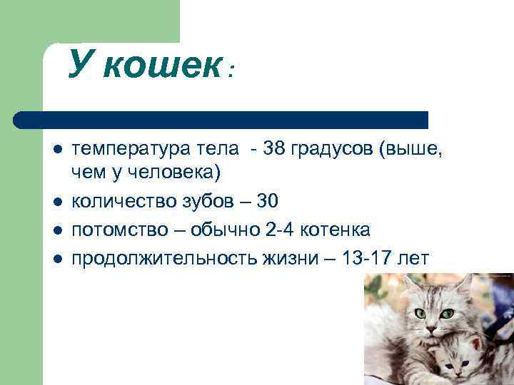 У кошек : l l температура тела - 38 градусов (выше, чем у