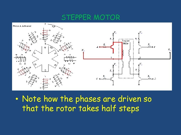 STEPPER MOTOR • Note how the phases are driven so that the rotor takes