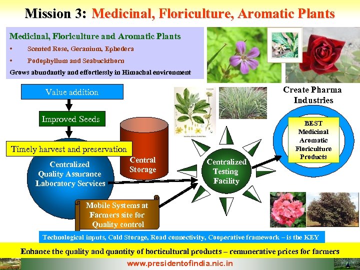 Mission 3: Medicinal, Floriculture, Aromatic Plants Medicinal, Floriculture and Aromatic Plants • Scented Rose,
