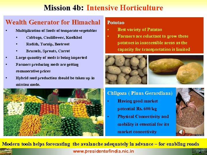 Mission 4 b: Intensive Horticulture Wealth Generator for Himachal Pototao • • • Multiplication