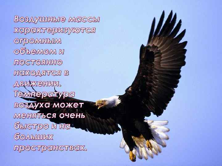 Воздушные массы характеризуются огромным объемом и постоянно находятся в движении. Температура воздуха может меняться