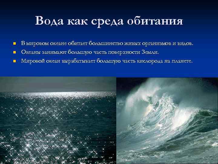 Вода как среда обитания n n n В мировом океане обитает большинство живых организмов