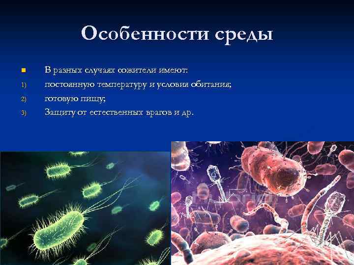 Организменные бактерии