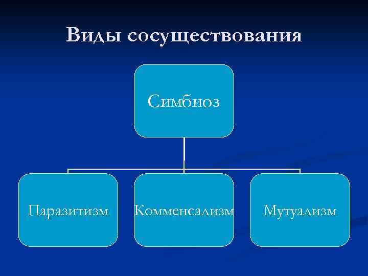 Виды сосуществования Симбиоз Паразитизм Комменсализм Мутуализм 