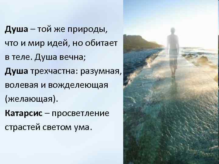 Душа – той же природы, что и мир идей, но обитает в теле. Душа