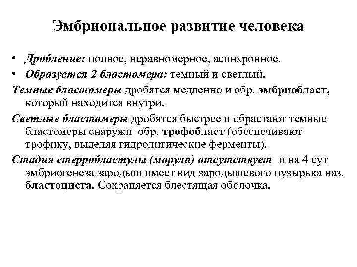 Эмбриональное развитие человека • Дробление: полное, неравномерное, асинхронное. • Образуется 2 бластомера: темный и