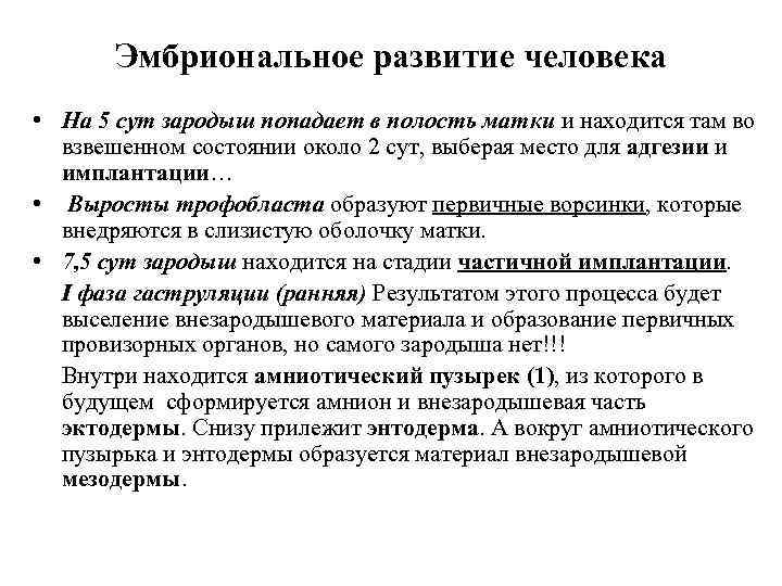 Эмбриональное развитие человека • На 5 сут зародыш попадает в полость матки и находится