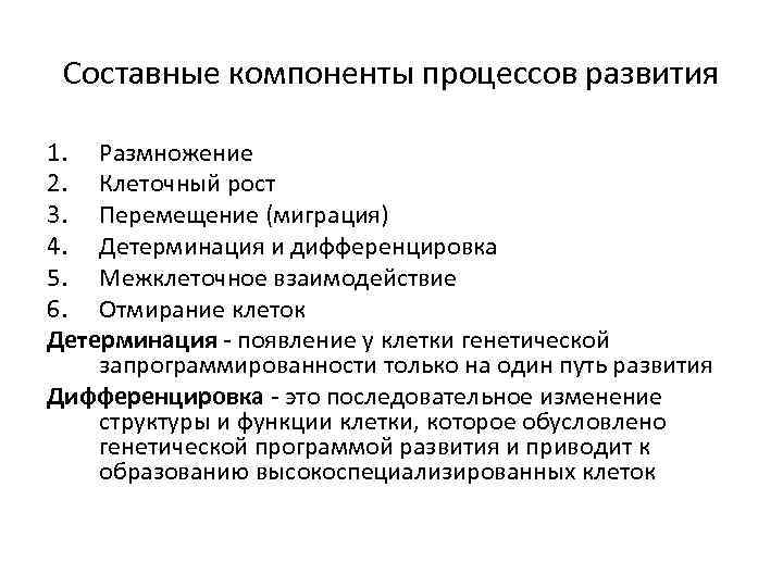 Составные компоненты процессов развития 1. Размножение 2. Клеточный рост 3. Перемещение (миграция) 4. Детерминация