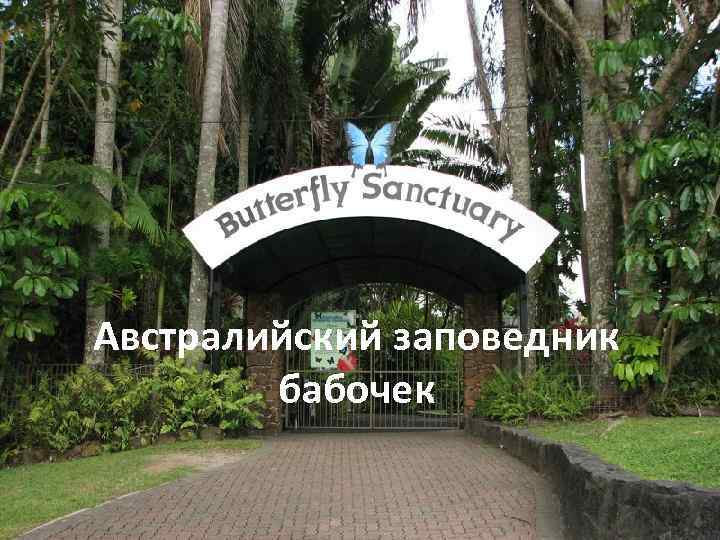 Австралийский заповедник бабочек 