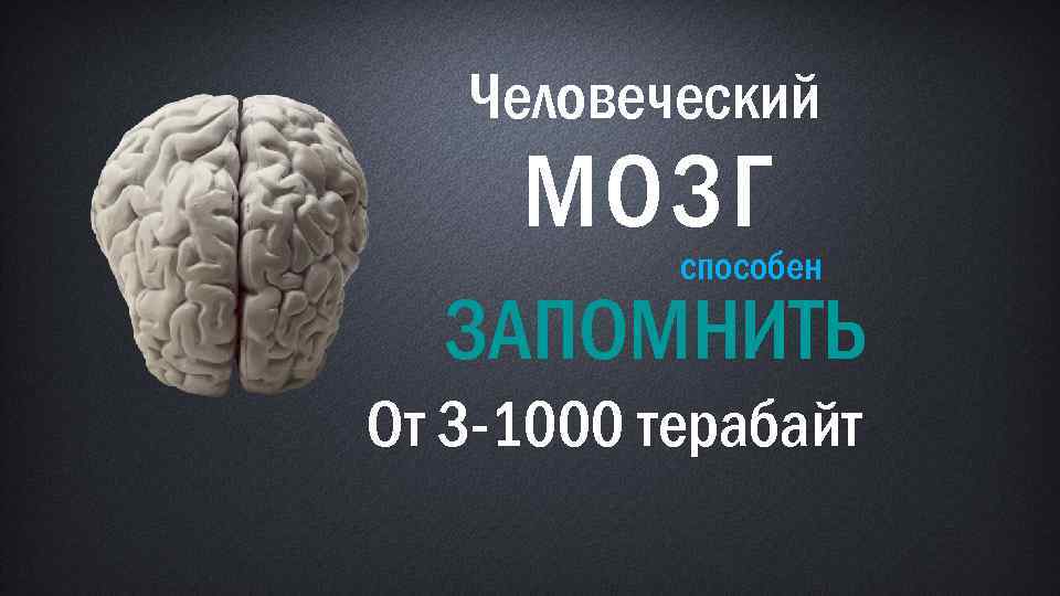 Человеческий МОЗГ способен ЗАПОМНИТЬ От 3 -1000 терабайт 