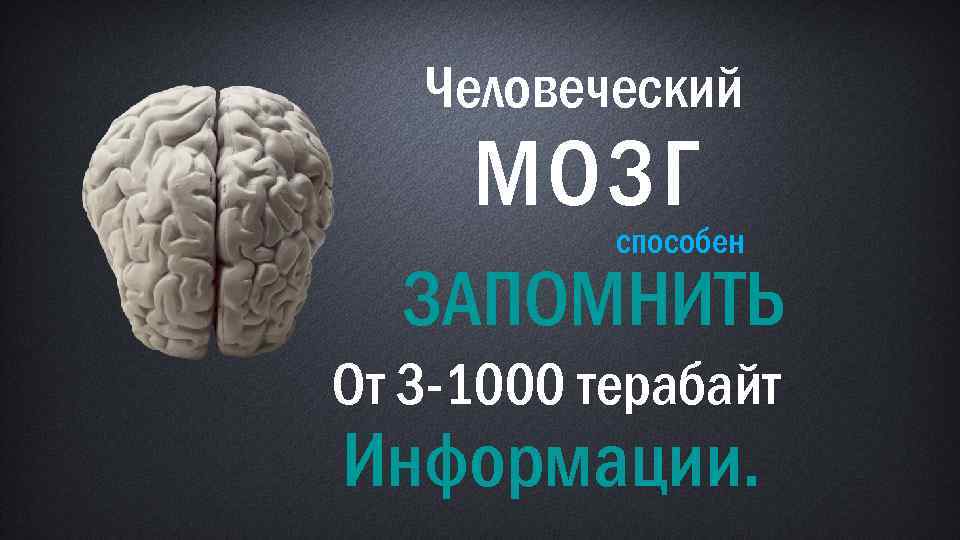 Человеческий МОЗГ способен ЗАПОМНИТЬ От 3 -1000 терабайт Информации. 