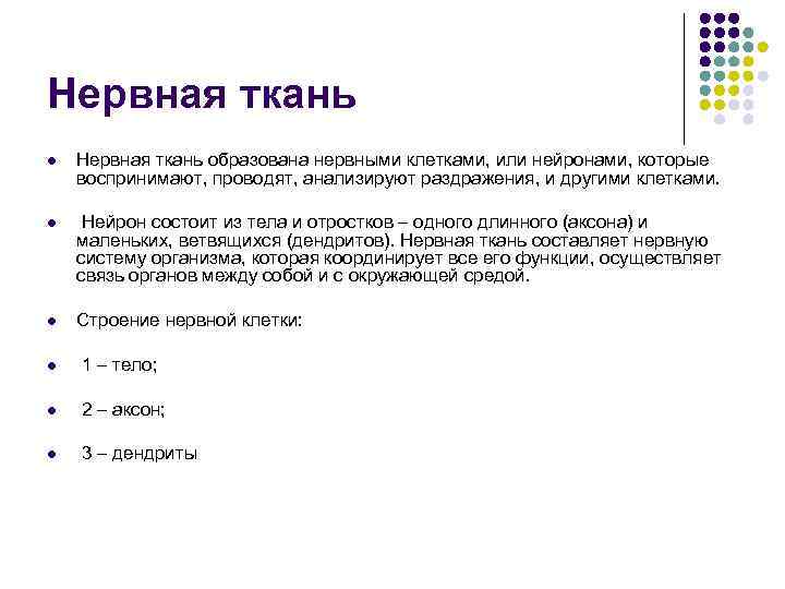 Нервная ткань l Нервная ткань образована нервными клетками, или нейронами, которые воспринимают, проводят, анализируют