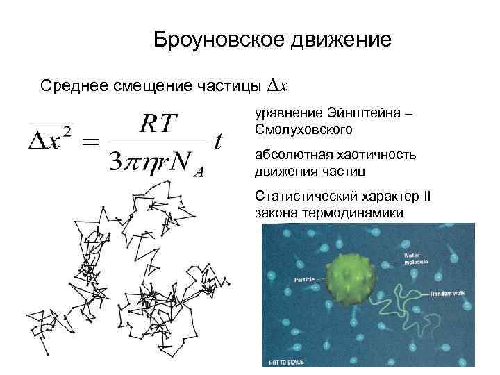 Броуновское движение частиц