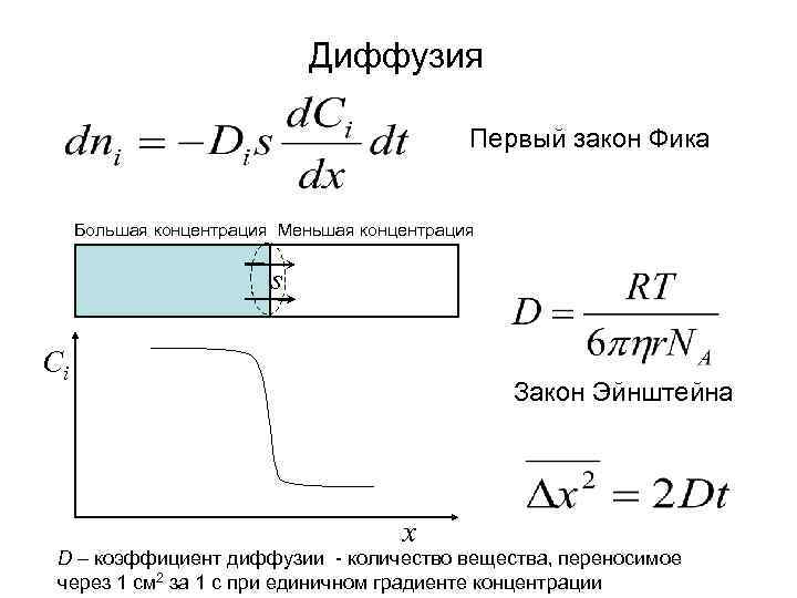 Диффузия Первый закон Фика Большая концентрация Меньшая концентрация s Ci Закон Эйнштейна x D