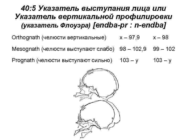 40: 5 Указатель выступания лица или Указатель вертикальной профилировки (указатель Флоуэра) [endba-pr : n-endba]
