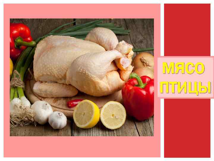 МЯСО ПТИЦЫ 