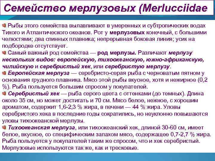 Семейство мерлузовых (Merlucciidae) Рыбы этого семейства вылавливают в умеренных и субтропических водах Тихого и