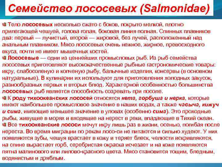 Семейство лососевых (Salmonidae) Тело лососевых несколько сжато с боков, покрыто мелкой, плотно прилегающей чешуей,