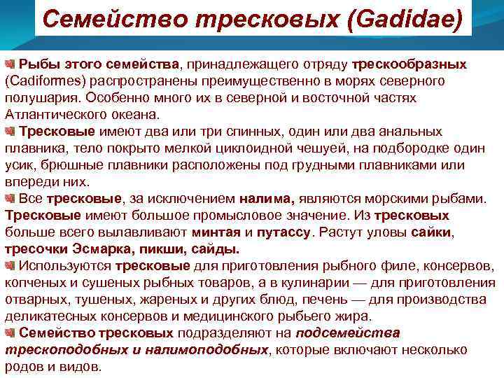 Семейство тресковых (Gadidae) Рыбы этого семейства, принадлежащего отряду трескообразных (Cadiformes) распространены преимущественно в морях