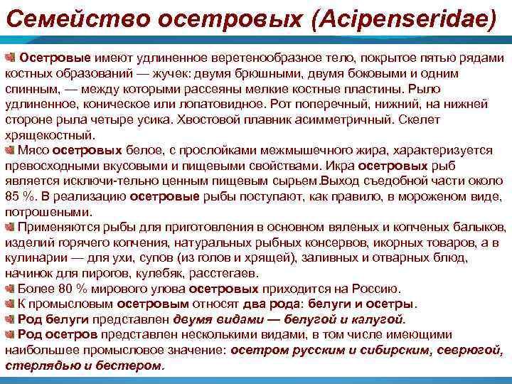 Семейство осетровых (Acipenseridae) Осетровые имеют удлиненное веретенообразное тело, покрытое пятью рядами костных образований —