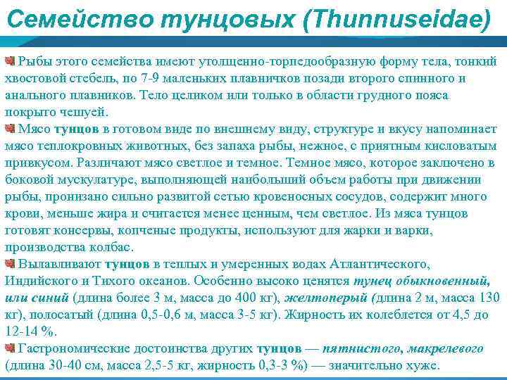 Семейство тунцовых (Thunnuseidae) Рыбы этого семейства имеют утолщенно торпедообразную форму тела, тонкий хвостовой стебель,