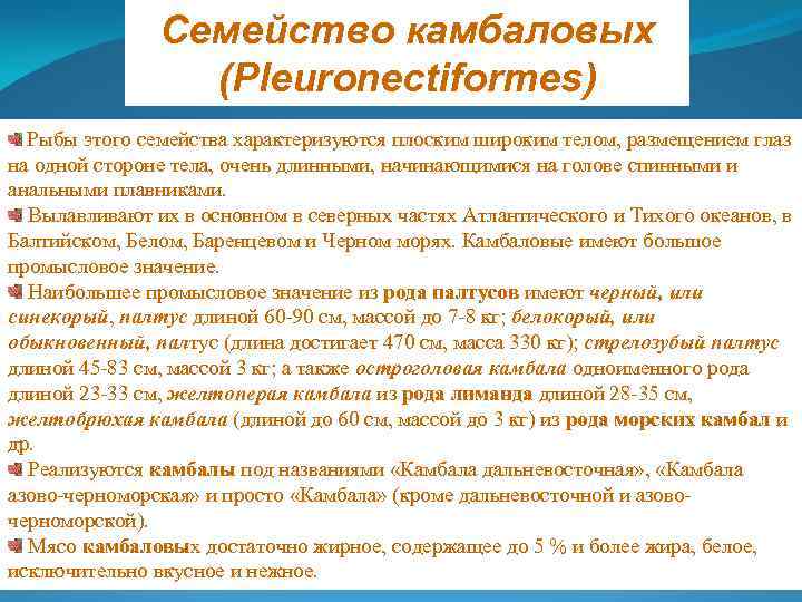 Семейство камбаловых (Pleuronectiformes) Рыбы этого семейства характеризуются плоским широким телом, размещением глаз на одной