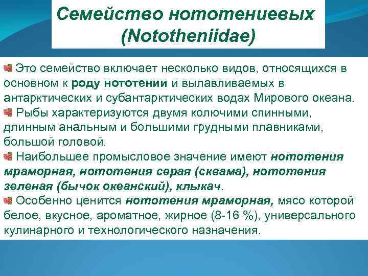 Семейство нототениевых (Nototheniidae) Это семейство включает несколько видов, относящихся в основном к роду нототении