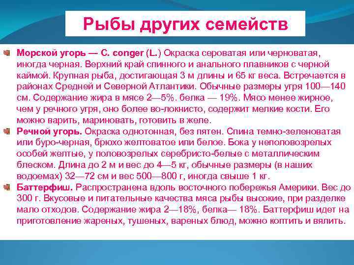 Рыбы других семейств Морской угорь — С. conger (L. ) Окраска сероватая или черноватая,