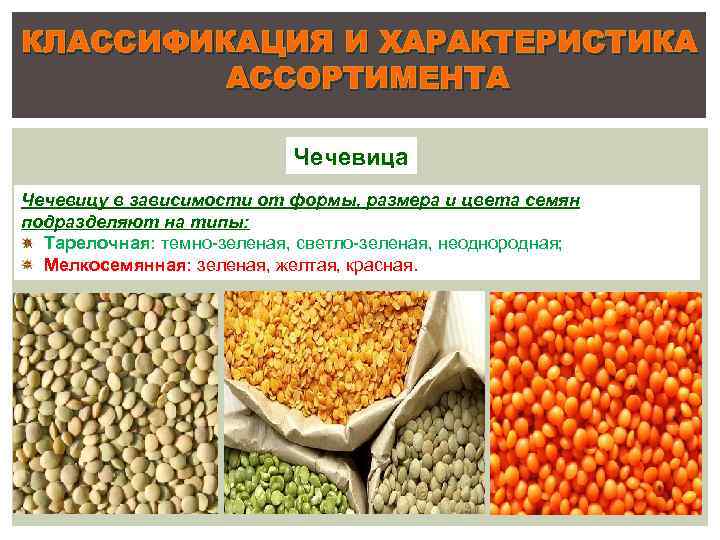 КЛАССИФИКАЦИЯ И ХАРАКТЕРИСТИКА АССОРТИМЕНТА Чечевица Чечевицу в зависимости от формы, размера и цвета семян