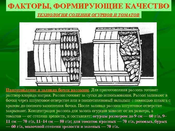 ФАКТОРЫ, ФОРМИРУЮЩИЕ КАЧЕСТВО ТЕХНОЛОГИЯ СОЛЕНИЯ ОГУРЦОВ И ТОМАТОВ Приготовление и заливка бочек рассолом. Для