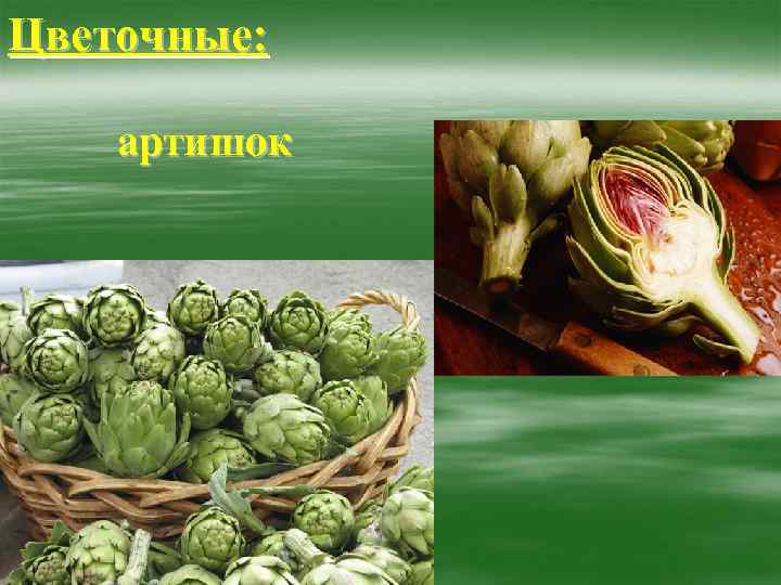 Цветочные: артишок 