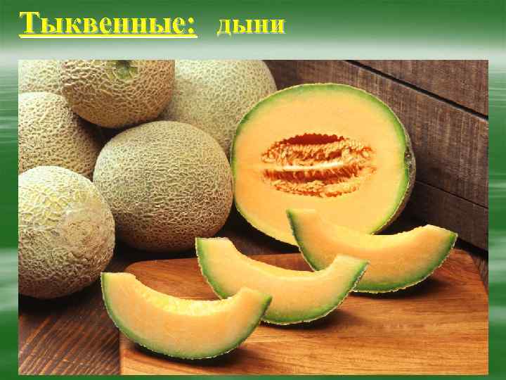Тыквенные: дыни 