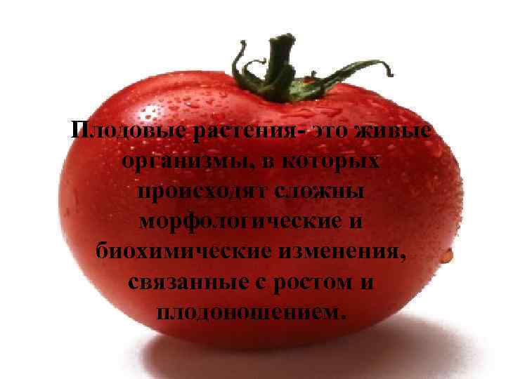 Плодовые растения- это живые организмы, в которых происходят сложны морфологические и биохимические изменения, связанные