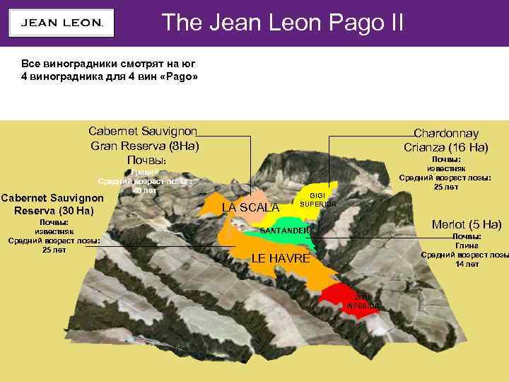 VALORES DE MARCA The Jean Leon Pago II Все виноградники смотрят на юг 4