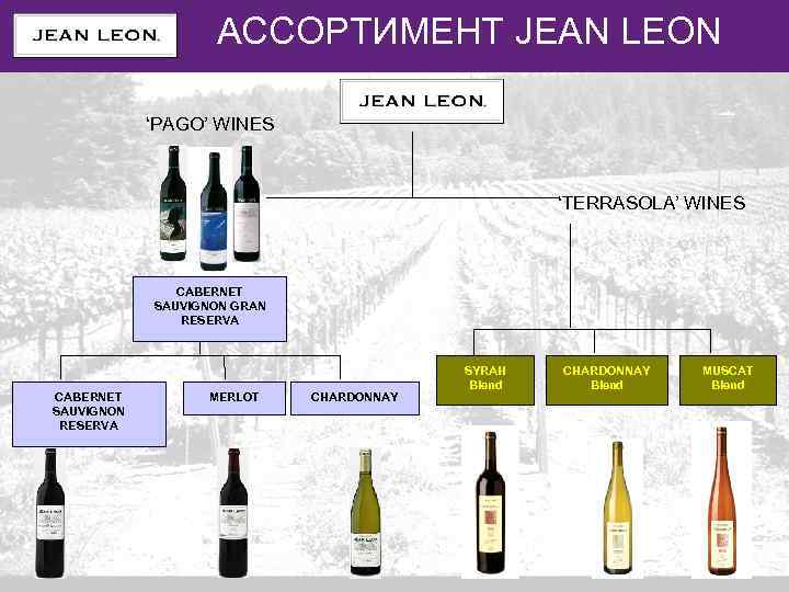 VALORES DE MARCA АССОРТИМЕНТ JEAN LEON ‘PAGO’ WINES ‘TERRASOLA’ WINES CABERNET SAUVIGNON GRAN RESERVA